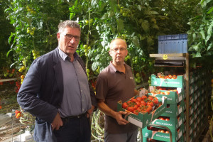 Tomatenteler Agro Care, op weg naar (nog meer) duurzaamheid