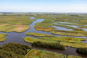 Creatief op zoek naar geld voor Noord-Hollandse natuur