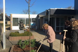 Herdenkingsboom Tjeerd Talsma in Callantsoog geplaatst