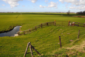 PvdA verzoekt GS gebiedsvisie op te stellen voor de Starnmeerpolder
