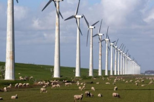 Draagvlak bewoners voorwaarde bij plaatsen nieuwe windturbines