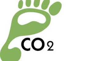 Duurzame donderdag: Carbon footprint