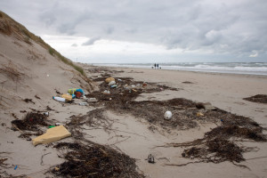 Actie Rode Stranden: de PvdA in actie tegen plasticafval in de Noordzee