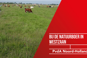 Natuurboeren in polder Westzaan